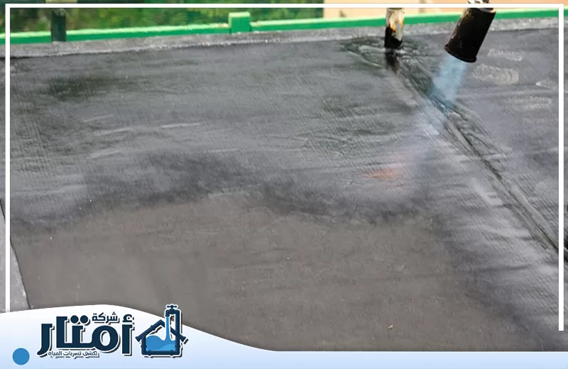 شركة مكافحة حشرات في الشارقة