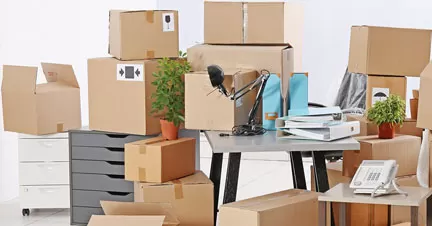 مكافحة النمل الاسود